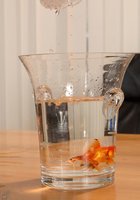 Начальница соблазнила темнокожего уборщика 3 фотография Начальница соблазнила темнокожего уборщика 3 фотография