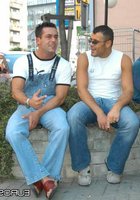 Два огурца засажены в дырочки 1 фотография Два огурца засажены в дырочки 1 фотография