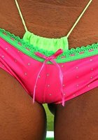 Чёрная мохнатка 4 фотография Чёрная мохнатка 4 фотография