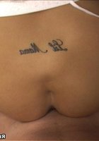 Домашняя киска 21 фотография Домашняя киска 21 фотография