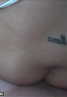 Домашняя киска 22 фотография Домашняя киска 22 фотография