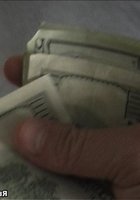 Домашняя киска 28 фотография Домашняя киска 28 фотография