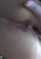 Домашняя киска 24 фотография Домашняя киска 24 фотография