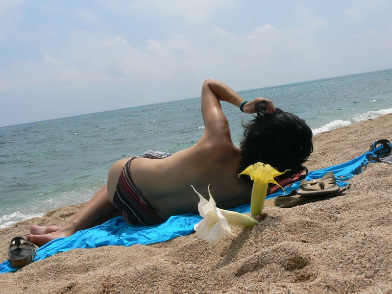 Беременная шалунья отдыхает топлес с подругами  на пляже 5 фотография