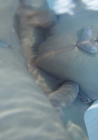 Влюбленная парочка занялась сексом в бассейне 4 фотография